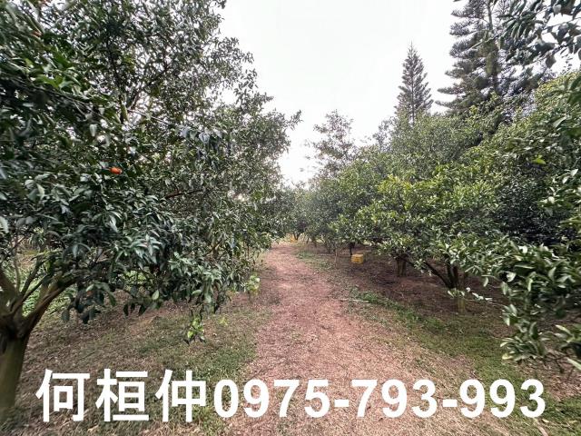 苗栗農地-10