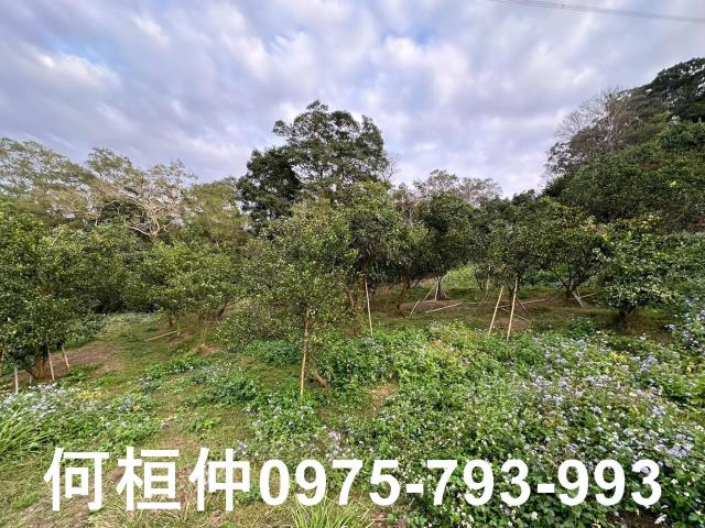 苗栗農地-11