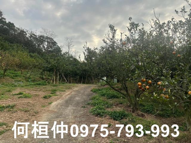 苗栗農地-12