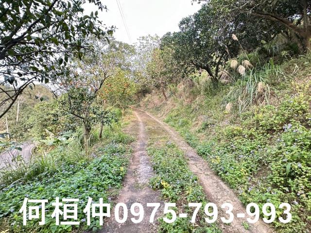 苗栗農地-4