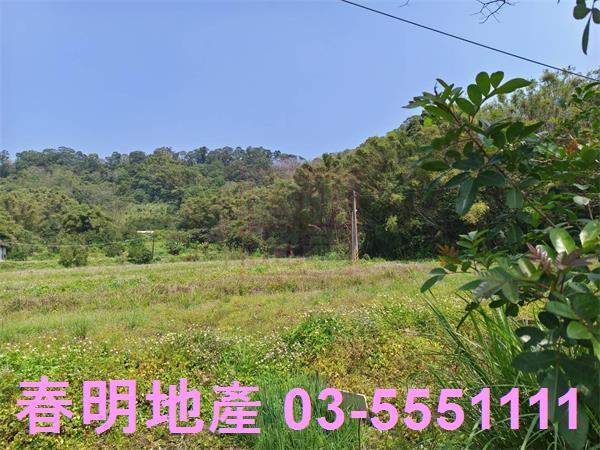 新竹峨眉農地-11