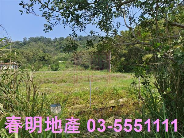 新竹峨眉農地-4