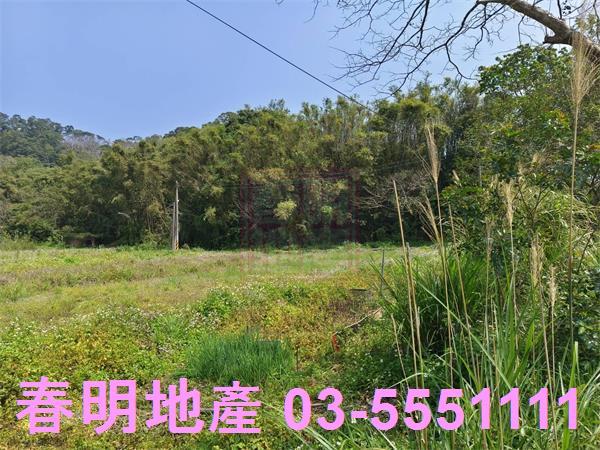新竹峨眉農地-6