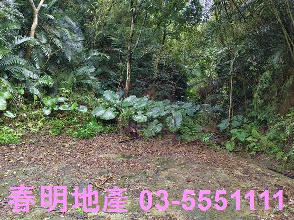 新竹峨眉農地-1