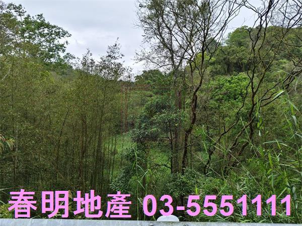 新竹峨眉農地-2