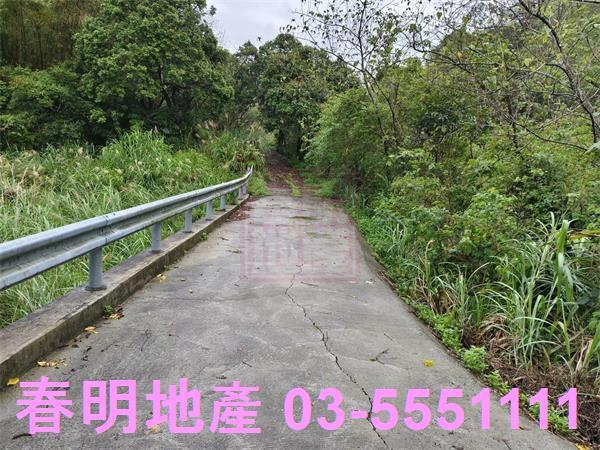新竹峨眉農地-4