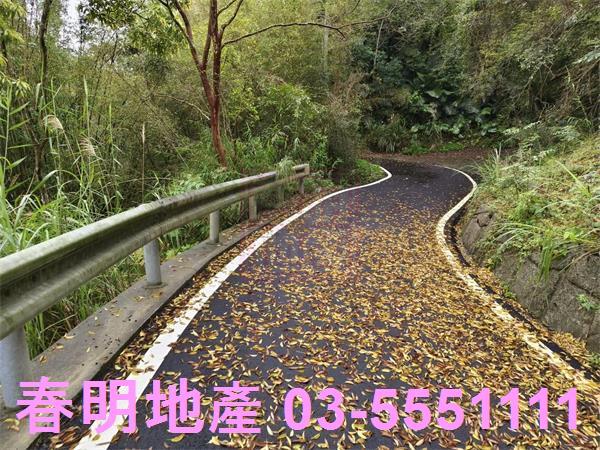 新竹峨眉農地-6