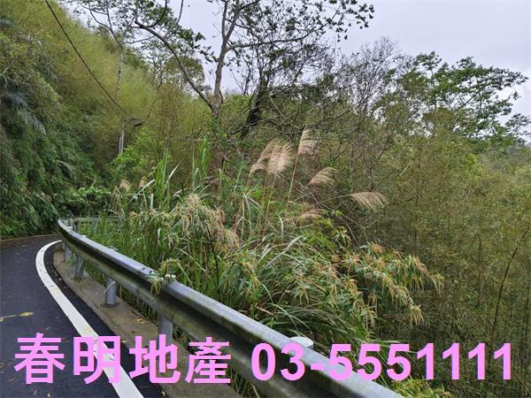 新竹峨眉農地-7
