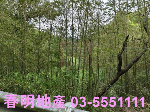 新竹峨眉農地-9