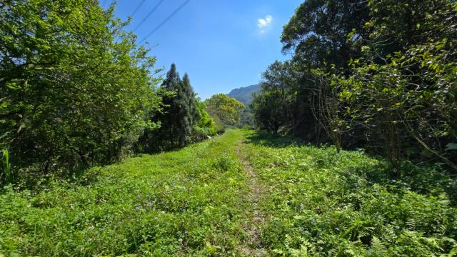 北埔農地-6
