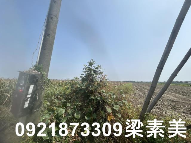 善化農地-8