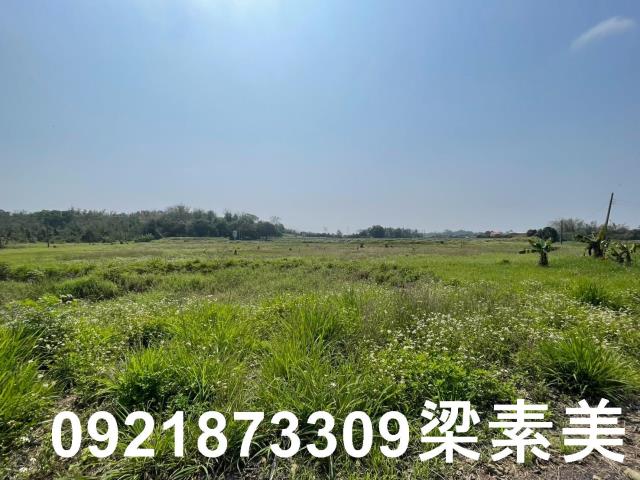 官田農地-4