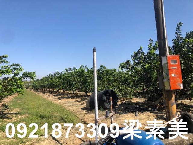 下營農地-4