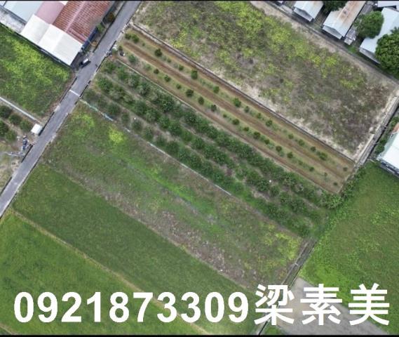 下營農地-5