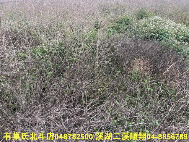 彰化農地-5