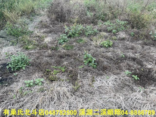 彰化農地-6