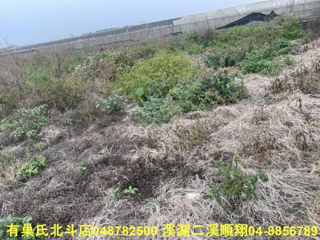 彰化農地-7