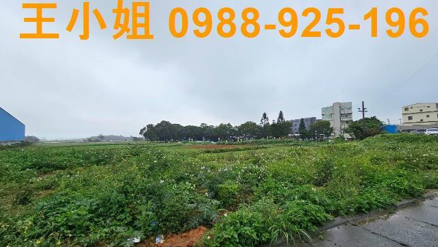 桃園農地-1
