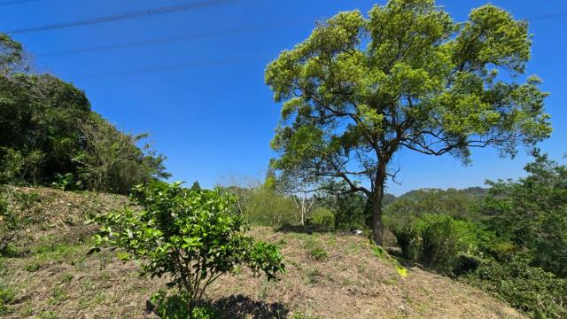 新竹北埔農地-2