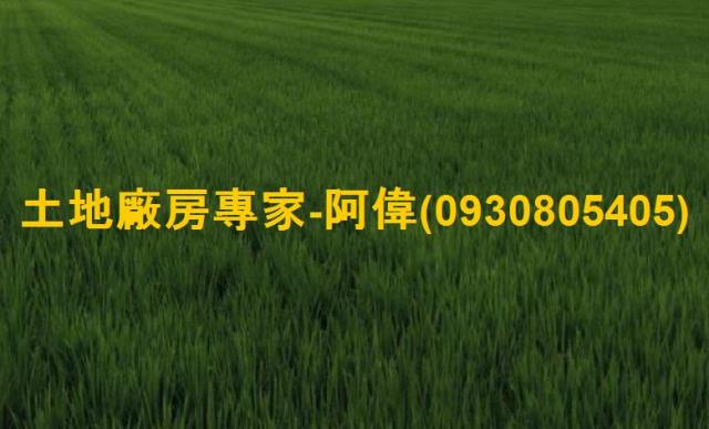 高雄大寮農地-1