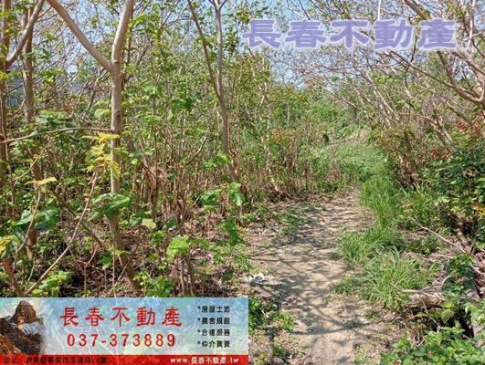 苗栗苗栗市建地-1