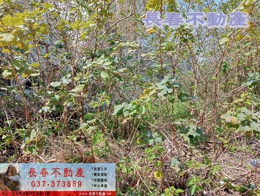 苗栗苗栗市建地-2
