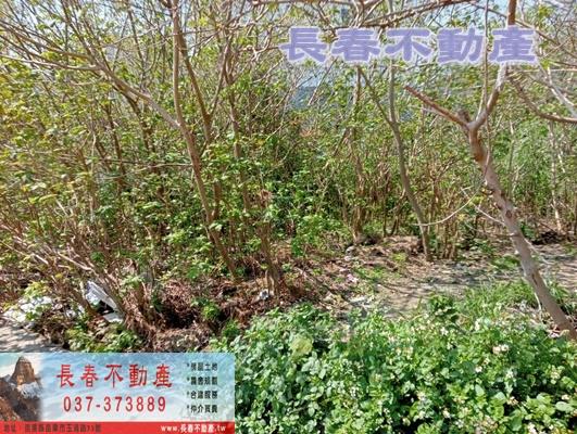 苗栗苗栗市建地-4