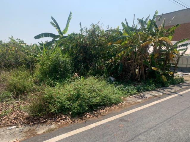 太保農地-8