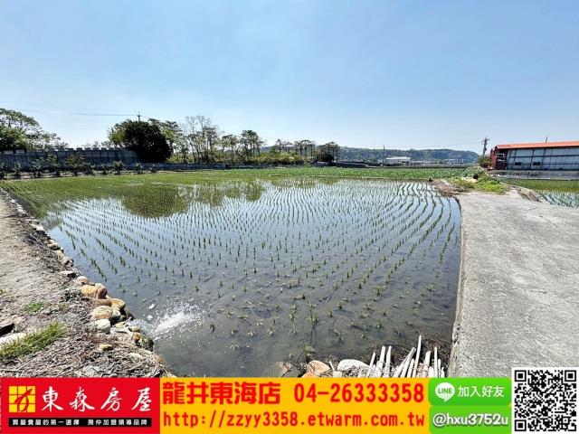 后里農地-3