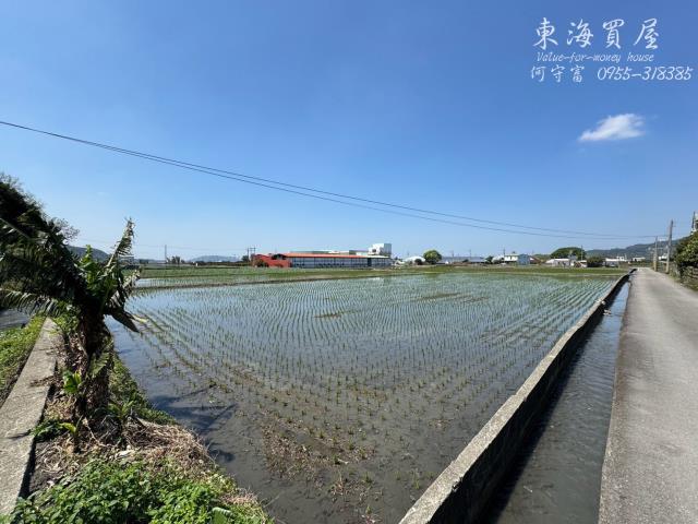 台中農地-11