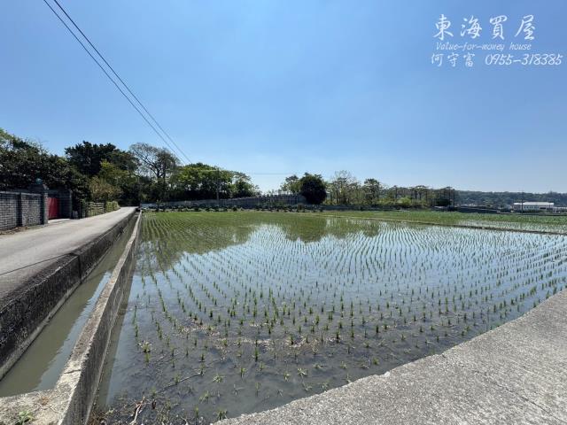 台中農地-12