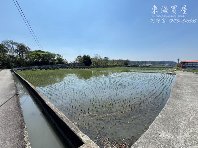 台中農地-13