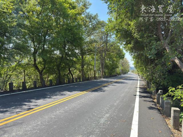 台中農地-1