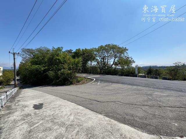 台中農地-3