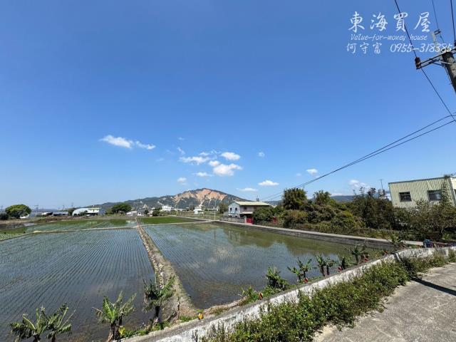 台中農地-6