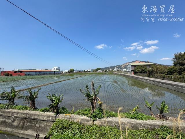 台中農地-9
