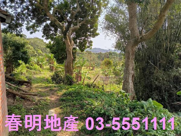 新竹農地-1