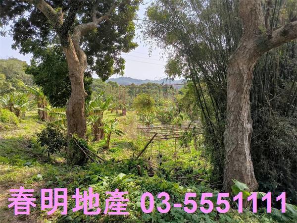 新竹農地-2