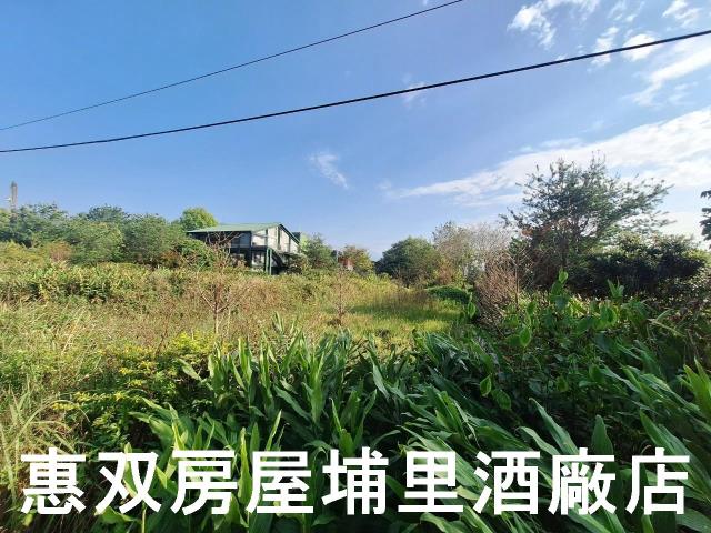 南投休閒地-5