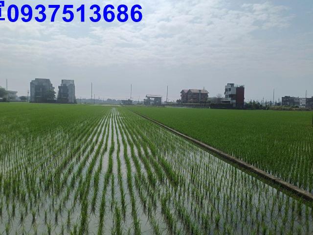宜蘭壯圍農地-2