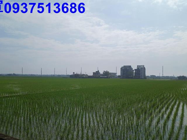 宜蘭壯圍農地-4