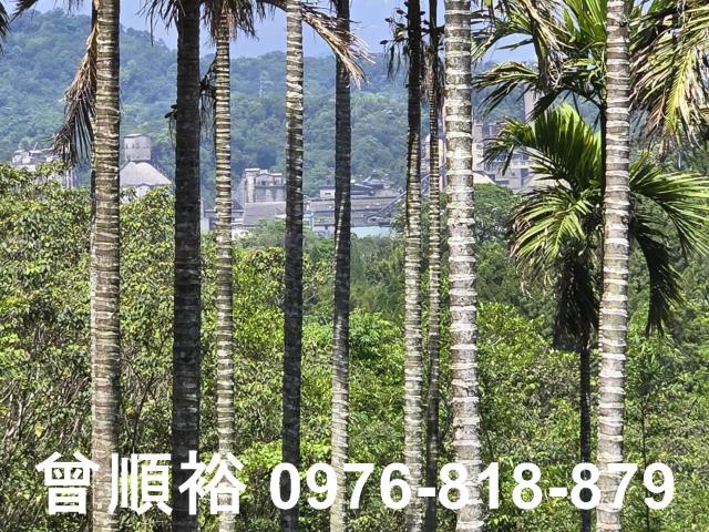橫山農地-10