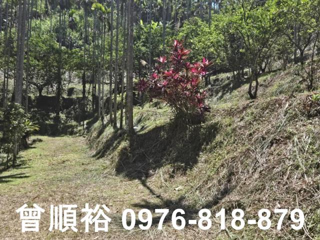 橫山農地-9