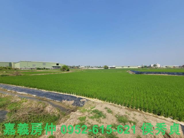 西區農地-10