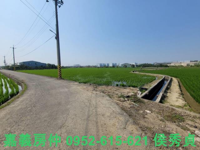 西區農地-11