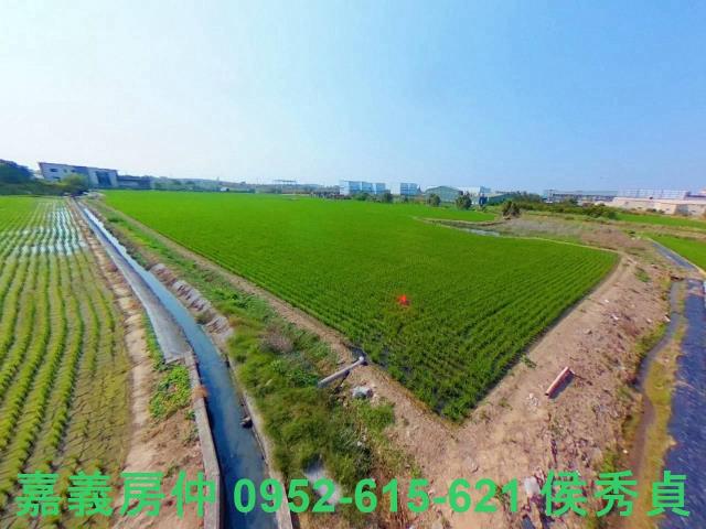 西區農地-5