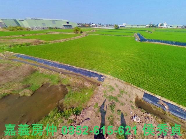 西區農地-7