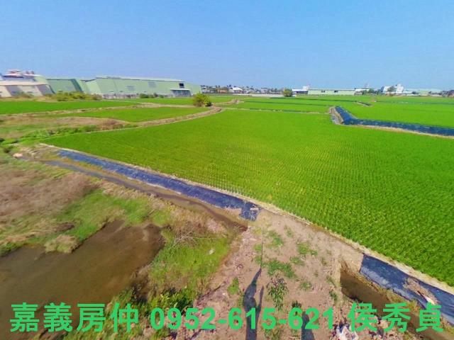 西區農地-8