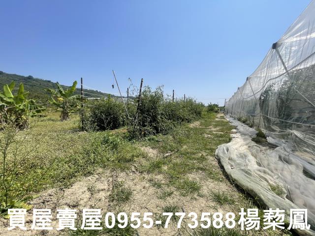 岡山農地-10