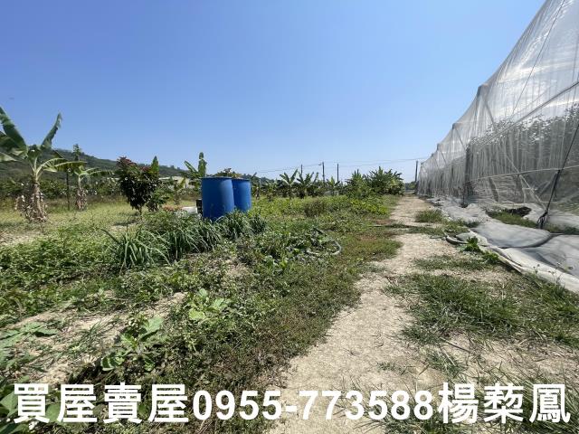 岡山農地-13